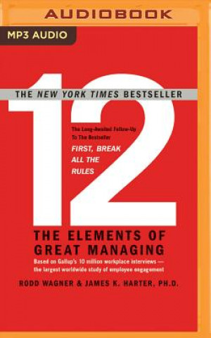 Audio 12: The Elements of Great Managing Rodd Wagner