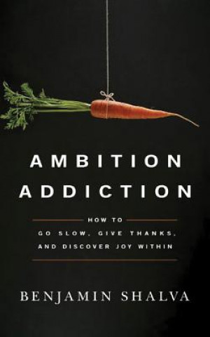 Audio Ambition Addiction: How to Go Slow, Give Thanks, and Discover Joy Within Benjamin Shalva