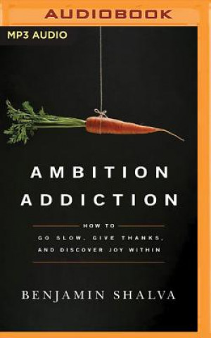 Digital Ambition Addiction: How to Go Slow, Give Thanks, and Discover Joy Within Benjamin Shalva