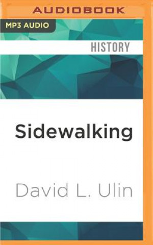 Digital Sidewalking: Coming to Terms with Los Angeles David L. Ulin