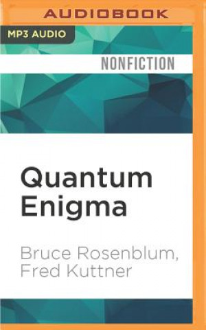 Digital Quantum Enigma: Physics Encounters Consciousness Bruce Rosenblum