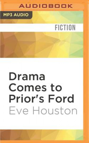 Digital Drama Comes to Prior's Ford Eve Houston