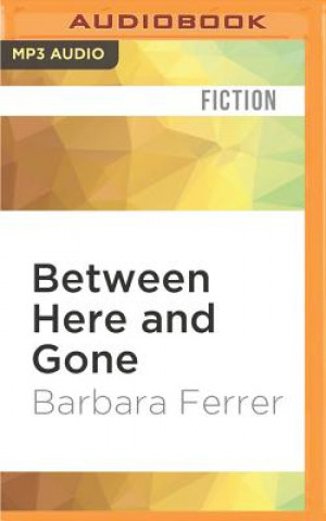 Digital Between Here and Gone Barbara Ferrer