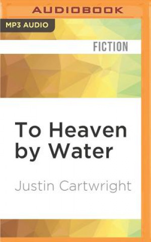 Digital To Heaven by Water Justin Cartwright