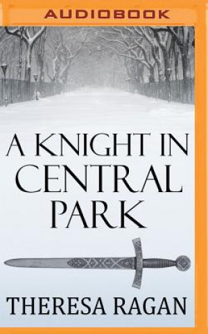 Digital A Knight in Central Park Theresa Ragan