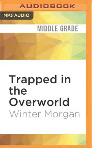 Digital Trapped in the Overworld Winter Morgan