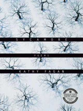 Boek Sycamore Kathy Fagan