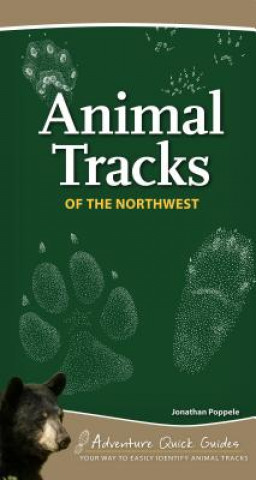 Könyv Animal Tracks of the Northwest Jonathan Poppele