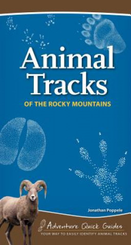 Carte Animal Tracks of the Rocky Mountains Jonathan Poppele