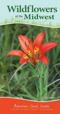 Knjiga Wildflowers of the Midwest Stan Tekiela