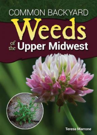 Kniha Common Backyard Weeds of the Upper Midwest Teresa Marrone