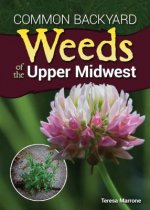 Carte Common Backyard Weeds of the Upper Midwest Teresa Marrone