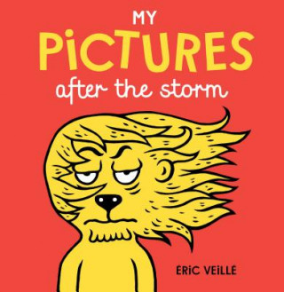 Kniha My Pictures After the Storm Eric Veille