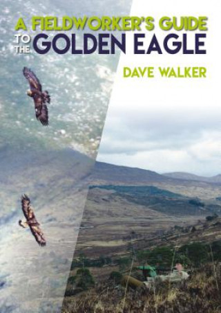 Książka Fieldworker's Guide to the Golden Eagle Dave Walker