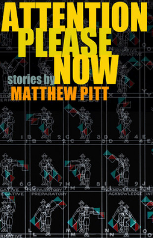 Kniha Attention Please Now Matthew Pitt