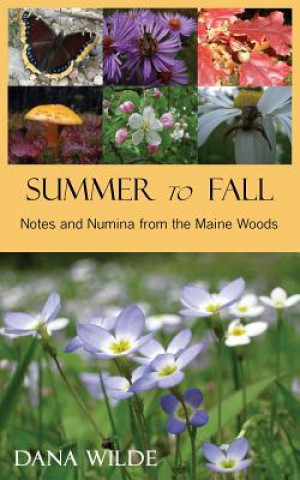 Buch Summer to Fall Dana Wilde