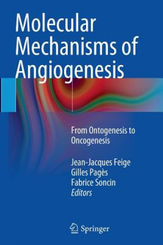 Książka Molecular Mechanisms of Angiogenesis Jean-Jacques Feige