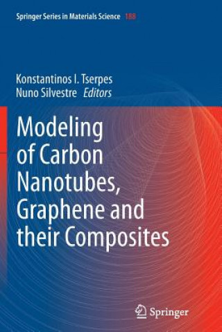 Książka Modeling of Carbon Nanotubes, Graphene and their Composites Nuno Silvestre