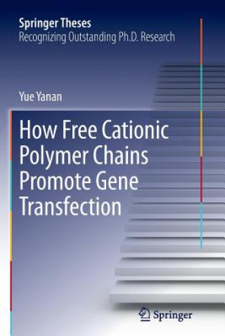 Könyv How Free Cationic Polymer Chains Promote Gene Transfection Yue Yanan