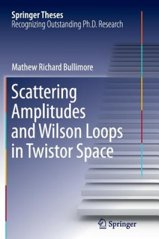 Knjiga Scattering Amplitudes and Wilson Loops in Twistor Space Mathew Richard Bullimore
