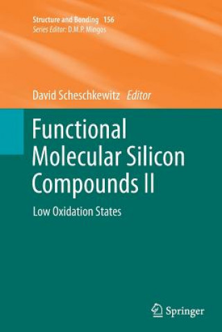 Carte Functional Molecular Silicon Compounds II David Scheschkewitz