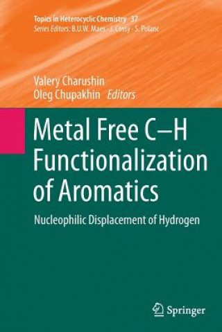 Könyv Metal Free C-H Functionalization of Aromatics Valery Charushin