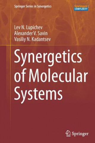 Könyv Synergetics of Molecular Systems Lev N. Lupichev