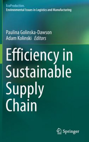 Kniha Efficiency in Sustainable Supply Chain Paulina Golinska-Dawson