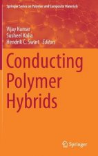 Könyv Conducting Polymer Hybrids Vijay Kumar