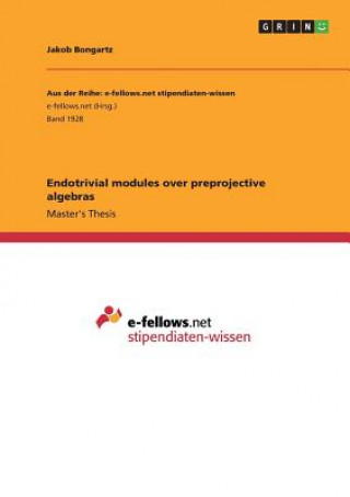 Könyv Endotrivial modules over preprojective algebras Jakob Bongartz