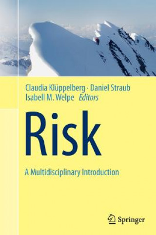 Kniha Risk - A Multidisciplinary Introduction Claudia Klüppelberg