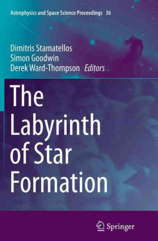 Könyv Labyrinth of Star Formation Dimitris Stamatellos