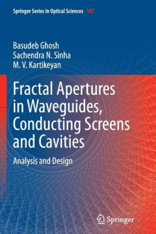 Kniha Fractal Apertures in Waveguides, Conducting Screens and Cavities Basudeb Ghosh