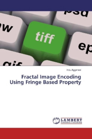 Book Fractal Image Encoding Using Fringe Based Property Indu Aggarwal