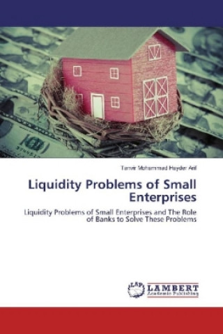 Carte Liquidity Problems of Small Enterprises Tanvir Mohammad Hayder Arif