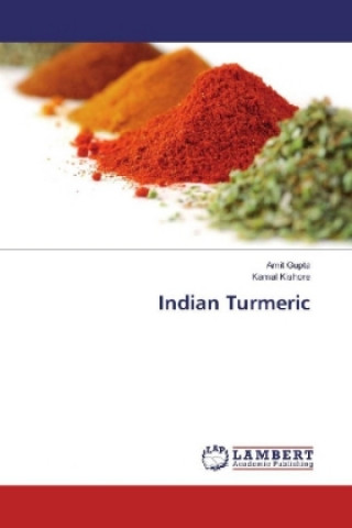 Kniha Indian Turmeric Amit Gupta