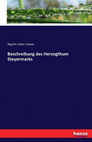 Книга Beschreibung des Herzogthum Steyermarks Aquilin Julius Caesar