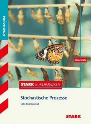 Książka Stark in Mathematik - Prozesse und Matrizen Oberstufe 