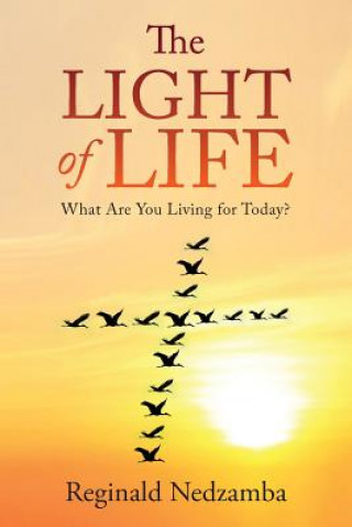 Carte Light of Life Reginald Nedzamba