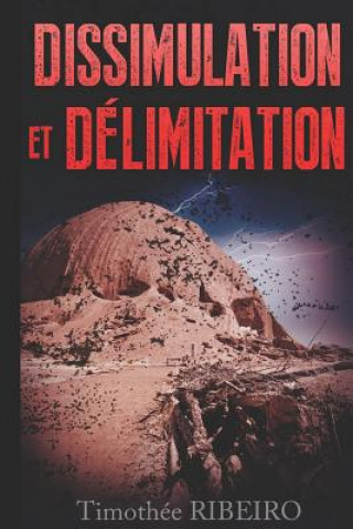 Könyv Dissimulation Et Delimitation Timothee Ribeiro