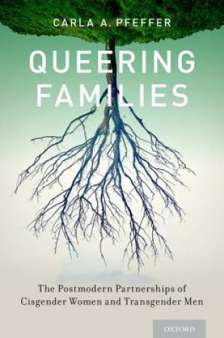 Kniha Queering Families Carla A. Pfeffer