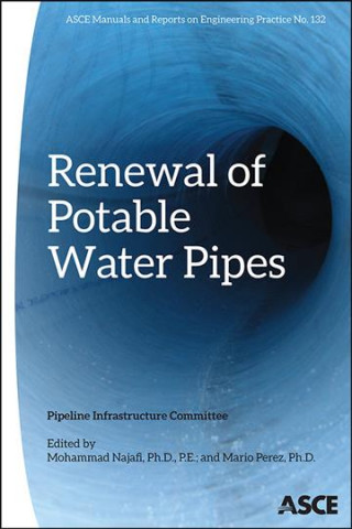 Könyv Renewal of Potable Water Pipes 