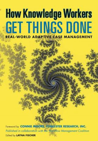 Livro HOW KNOWLEDGE WORKERS GET THINGS DONE Nathaniel Palmer