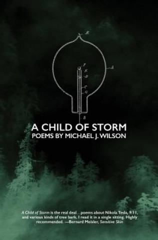 Carte Child of Storm MICHAEL J. WILSON