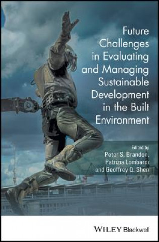 Книга Future Challenges in Evaluating and Managing Sustainable Development in the Built Environment Patrizia Lombardi