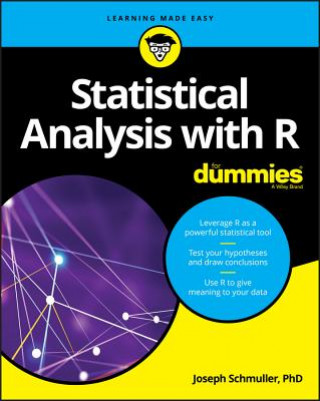 Kniha Statistical Analysis with R For Dummies Joseph Schmuller