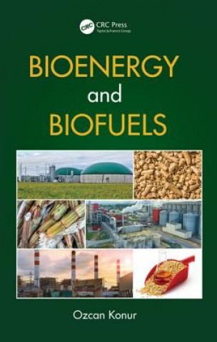 Könyv Bioenergy and Biofuels 