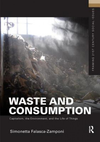 Книга Waste and Consumption FALASCA ZAMPONI