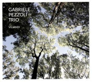Audio  Viljandi Gabriele Trio Pezzoli