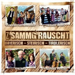 Audio  Zsammgrauscht/Bayrr.-Steir.-Tirolerisch Various